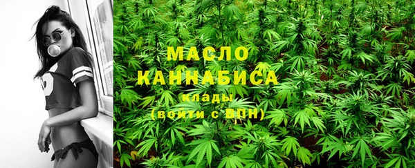 молекула духа Дмитров