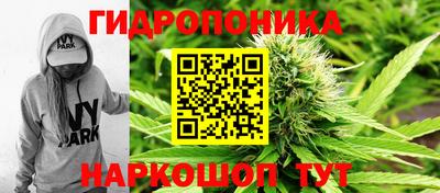гидра Азнакаево