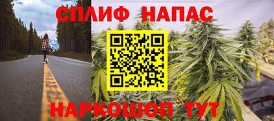 гидра Азнакаево