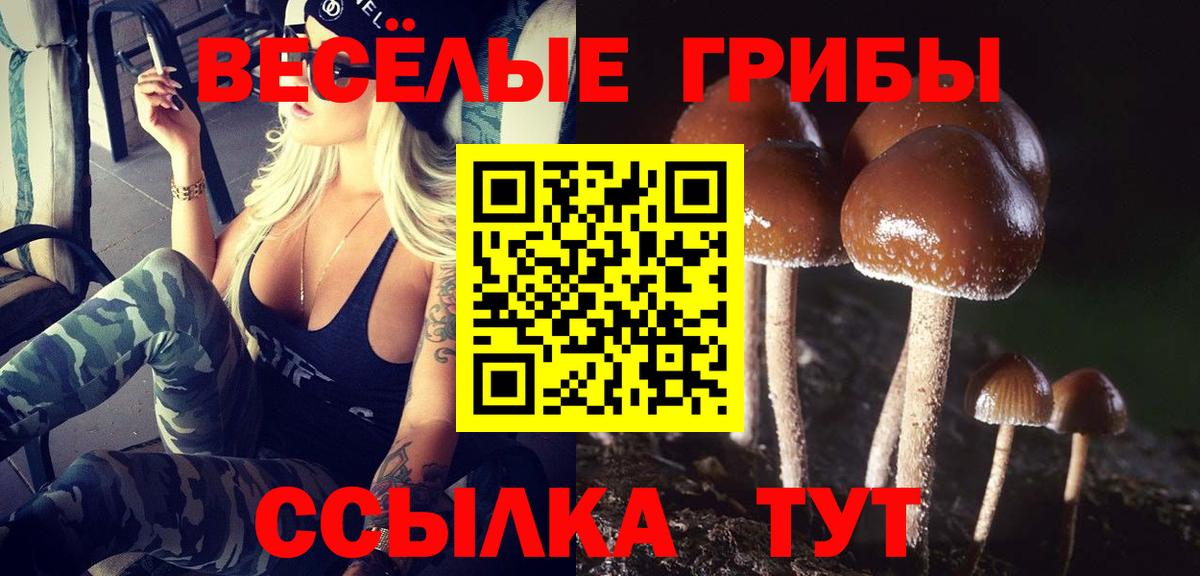 Псилоцибиновые грибы прущие грибы  Вход с VPN  Галлюциногенные грибы мухоморы  Россия 